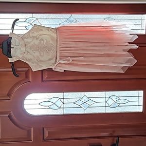 Rare Editions size 12 embroidered dress with layered tulle skirt